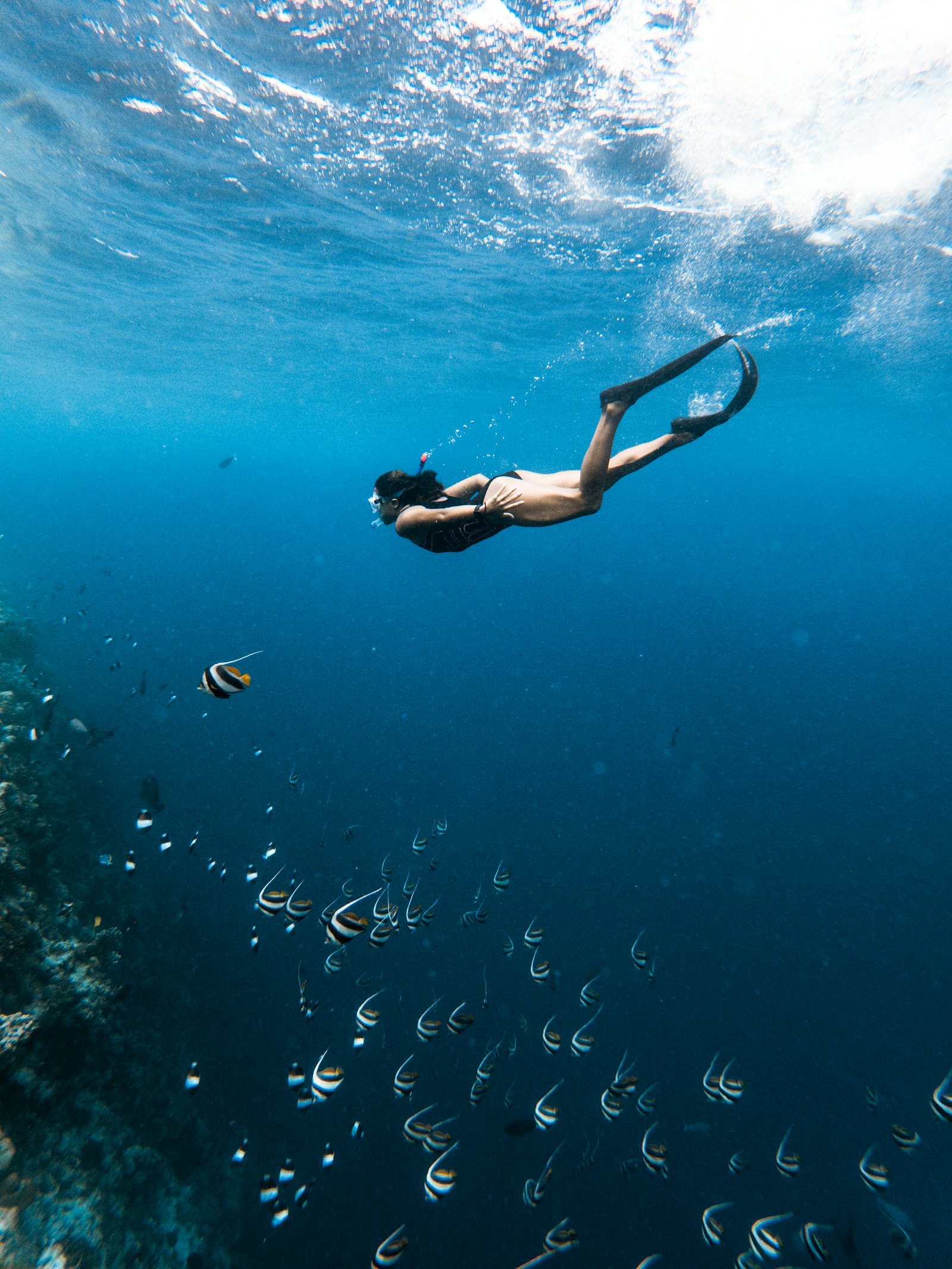 Snorkel en el arrecife de Bayahíbe